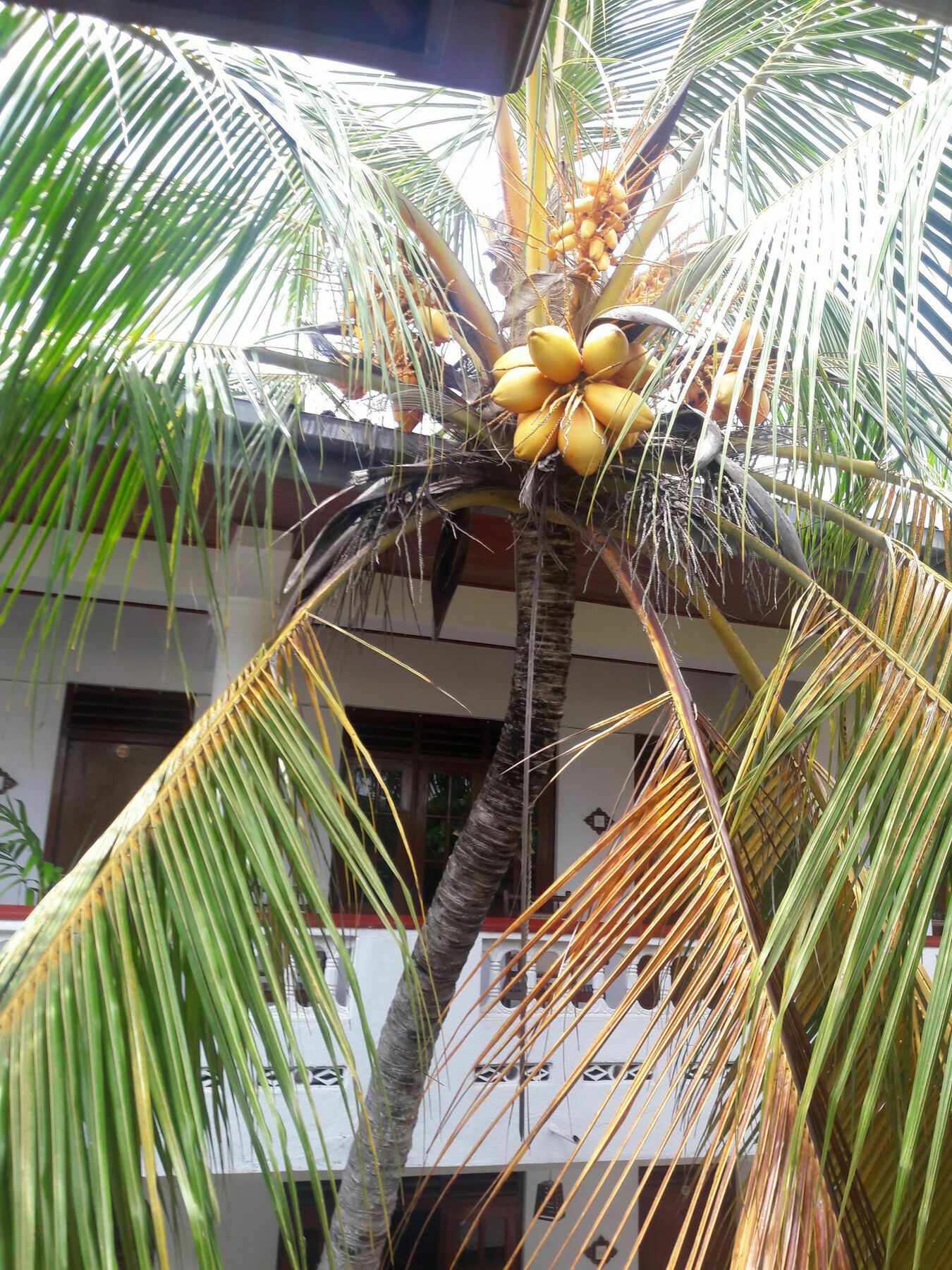 Happy Night Holiday Inn Unawatuna Exterior foto